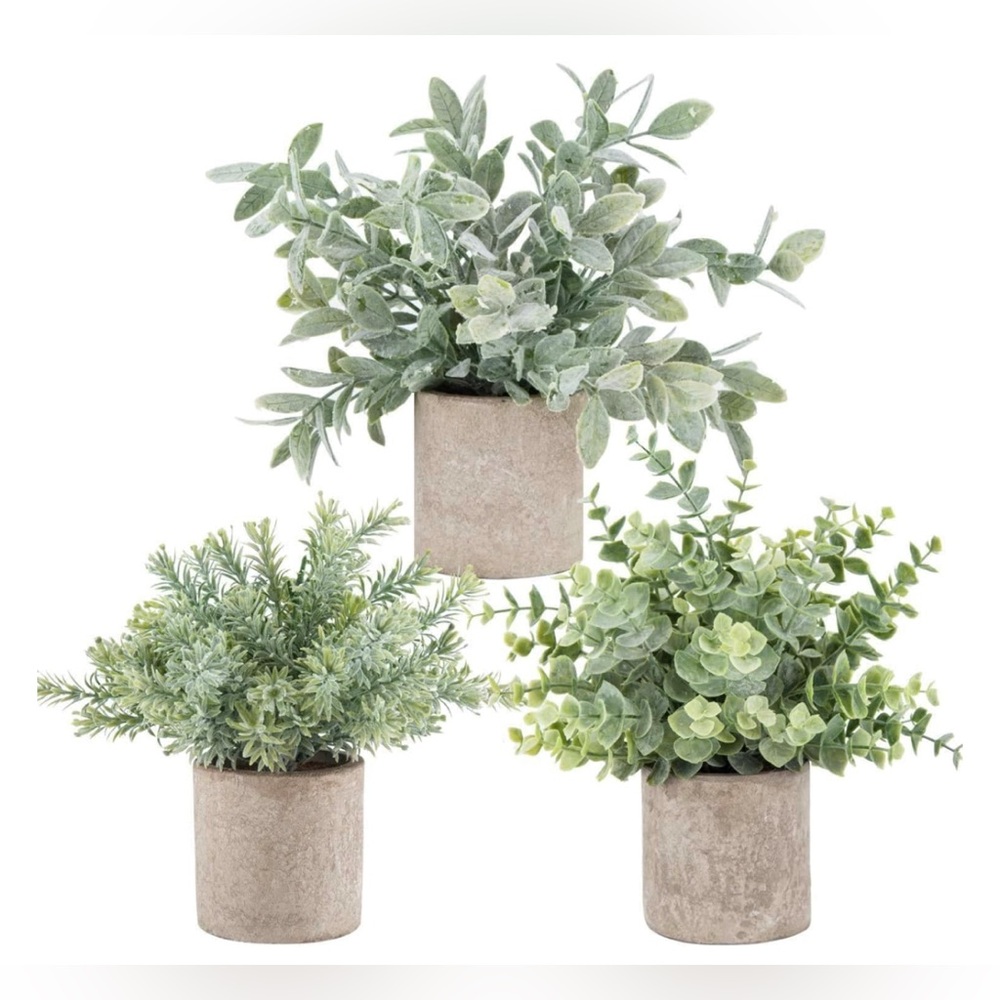 Der Rose Mini Eucalyptus Faux Potted Plants - Set of 3